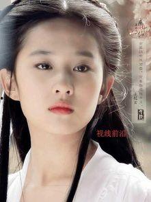 刘亦菲爆料宋宗宪视频播放,刘亦菲揭露宋宗宪视频播放背后的真相